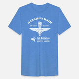 2 Battalion Parachute Regiment: Courage in the Sky