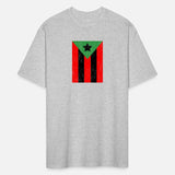 Afro Boricua Flag Puerto Rico Africa Roots Pride