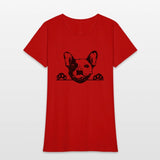 Animal Dog French Bulldog 5tg6y Peeking