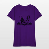 Animal Dog French Bulldog 5tg6y Peeking