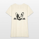Animal Dog French Bulldog 5tg6y Peeking
