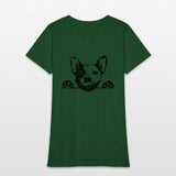 Animal Dog French Bulldog 5tg6y Peeking