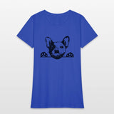 Animal Dog French Bulldog 5tg6y Peeking