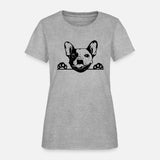 Animal Dog French Bulldog 5tg6y Peeking