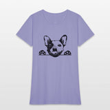 Animal Dog French Bulldog 5tg6y Peeking