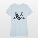 Animal Dog French Bulldog 5tg6y Peeking