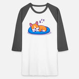 Cute Corgi Dog Sleeping in Peace