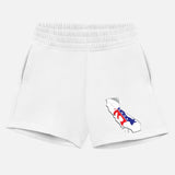 Democrat Flag in California State Map