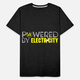 Electric Car Tesla Power Climate