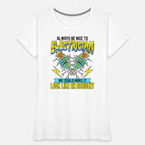 Electrician Be Nice To Electricians