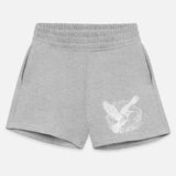 Flying Seagull Over The Sea