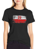Distressed Poland Flag Graphic T-Shirt - Black