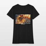 I've Been Framed! Anemones of Sanibel Island, FL