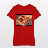 I've Been Framed! Anemones of Sanibel Island, FL