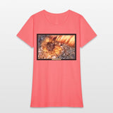 I've Been Framed! Anemones of Sanibel Island, FL