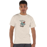 Minimalist Dolphin sailing fast and fun