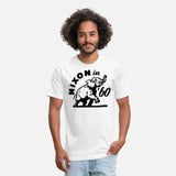 Nixon in 60 Richard Nixon Political Campaign