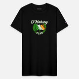 O’mahony Surname Irish Last Name Ireland Flag