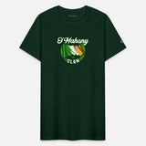 O’mahony Surname Irish Last Name Ireland Flag
