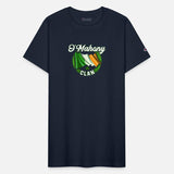 O’mahony Surname Irish Last Name Ireland Flag