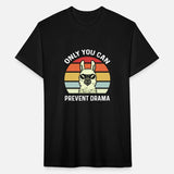 Only You Can Prevent Drama Llama Vintage Retro Zen