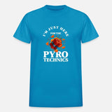 Pyrotechnic New Year'S Eve Firecrackers