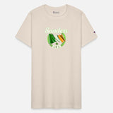 Sanders Surname Irish Last Name Ireland Flag