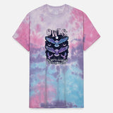 Spiritual Owl The Spirit Guides