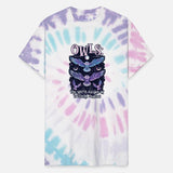 Spiritual Owl The Spirit Guides