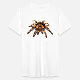 TARANTULA, MEXICAN RED KNEE TARANTULA