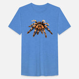 TARANTULA, MEXICAN RED KNEE TARANTULA