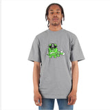 Triceratops Stegosaurus 2 Dinosaur Pirates Dinos