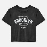 Urban district Brooklyn downtown