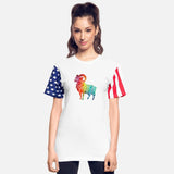 Vibrant Swirl Art Ram