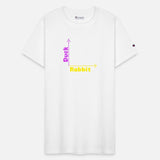 Wittgensteins Rabbit Duck Illusion